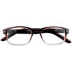 Picture of ZIPPO READING GLASSES +1.00 BROWN
